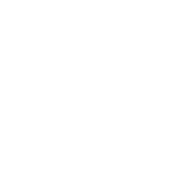 VANISUR